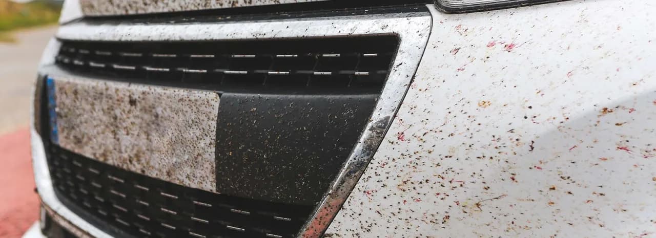 Skuteczne sposoby na usunięcie żywicy z karoserii samochodu bez uszkodzeń